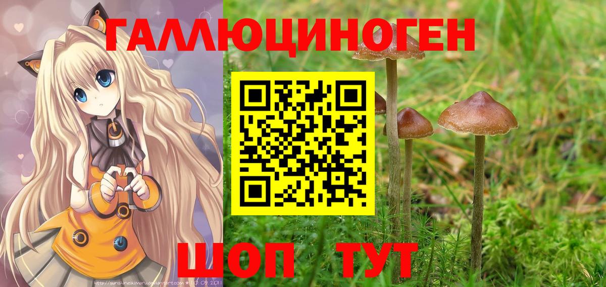 наркота  Вход с VPN  Бузулук  Псилоцибиновые грибы мицелий  Псилоцибиновые грибы Magic Shrooms 