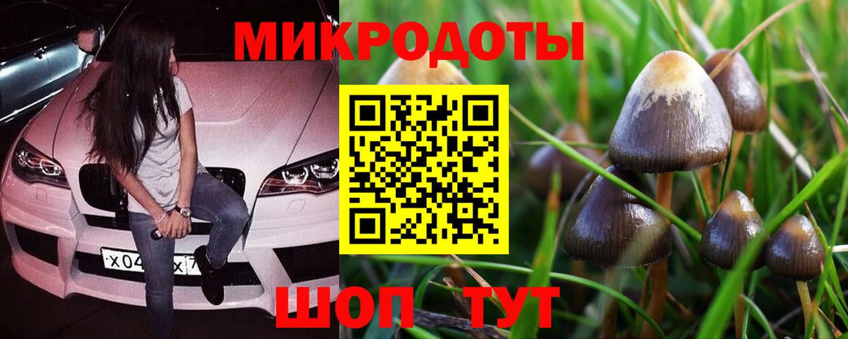 Галлюциногенные грибы прущие грибы Бузулук